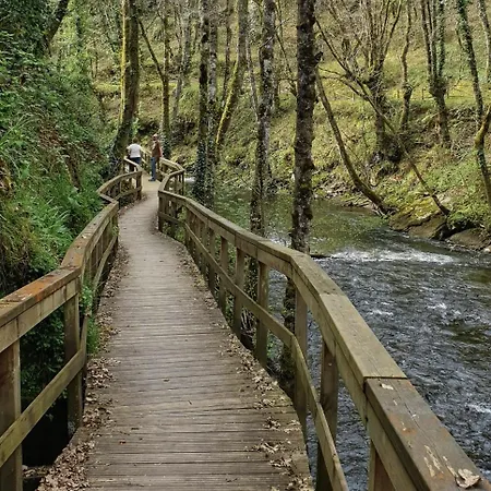 Estudios Rua Maior, 49-2a 아파트 사리아루고